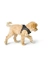 HUNTER Geschirr Hilo Comfort