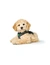 HUNTER Geschirr Hilo Comfort
