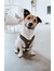 HUNTER Hundegeschirr Hilo Comfort