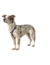 HUNTER Hundegeschirr Tripoli