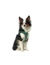 HUNTER Hundegeschirr Hilo Comfort