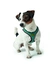 HUNTER Hundegeschirr Hilo Comfort