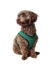 HUNTER Hundegeschirr Hilo Comfort