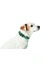 HUNTER Hundehalsband Hilo