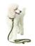 HUNTER Hundehalsband Aalborg