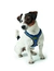 HUNTER Hundegeschirr Hilo Comfort