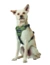HUNTER Hundegeschirr Divo