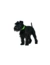HUNTER Hundehalsband Convenience