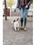 HUNTER Hundehalsband Inari Alu-Strong