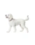 HUNTER Hundehalsband Inari Alu-Strong