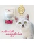 Felisept Home Comfort Set Diffusor + Flakon für Katzen