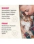 Felisept Home Comfort Set Diffusor + Flakon für Katzen