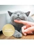 Felisept Home Comfort Nachfüllflakon für Katzen