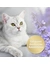 Felisept Home Comfort Spray für Katzen