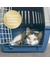 Felisept Home Comfort Spray für Katzen
