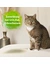 Bactador Katzentoiletten Geruchsentferner