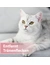 Felisept Augenpflege Pads für Katzen