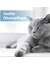 Felisept Ohrpflege Finger-Pads für Katzen