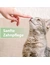 Felisept Zahnpflege Finger-Pads für Katzen