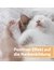 Felisept Wundgel für Katzen