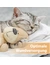 Felisept Wundspray für Katzen