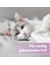 Felisept Fellpflegespray für Katzen