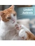 Felisept Hautpflege Spray für Katzen