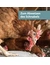 Quiko Hobby Farming Mineral-Gritstein