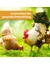 Quiko Hobby Farming Vitacombex H Multivitaminsaft