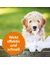 ARDAP Anti Floh Shampoo für Hunde