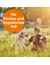 ARDAP Anti Floh Shampoo für Hunde