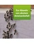 ARDAP Repell Ameisenmittel