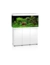 JUWEL Rio 350 Kombi SBX LED