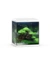 JUWEL Vio Cube 54 Aquarium LED
