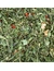 JR Farm Rucola & Tomate