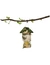 JR Farm Peanut Bar Erdnuss-Turm