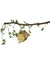 JR Farm Peanut Pot