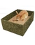 JR Farm Back to Instinct Buddel-Box