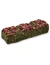 JR Farm Grainless Heu-Riegel