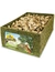 JR Farm Back to Instinct Schnüffel-Box