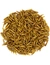 JR Farm Garden Hermetia/Soldatenfliegen-Larven