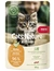 mera Cats Nature Kitten