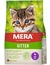mera Cats Kitten