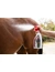 leovet Power Phaser Booster Flasche