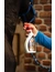 leovet Power Striegel Walnuss Booster Flasche