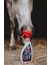 leovet Schimmel Striegel Booster Flasche