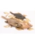 EcoStar Fisch-Mix