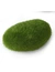 AQUA DELLA Moss Ball