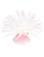 AQUA DELLA Anemone mit Saugnapf