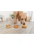 TRIXIE Donuts